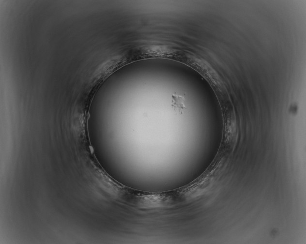 X0000100760473200806191211