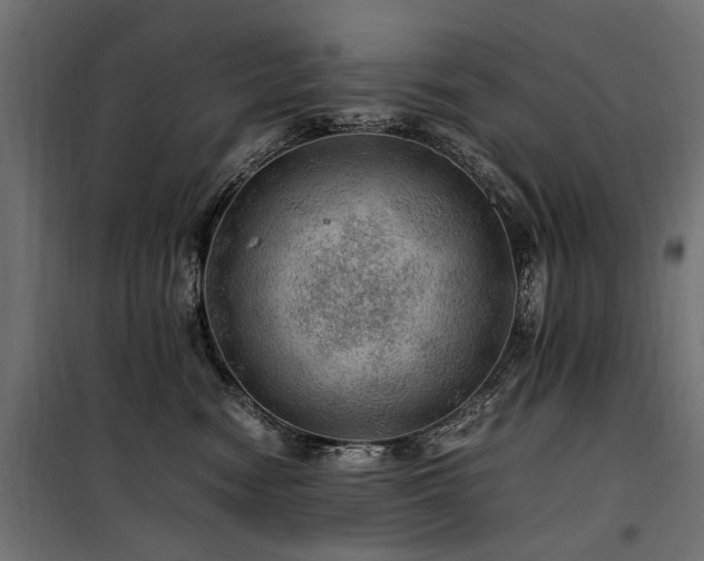 X0000100760474200806191211