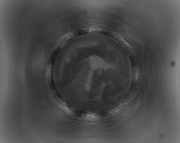 X0000100760475200806191211