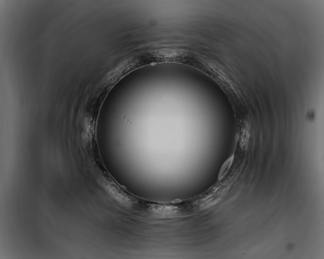 X0000100760476200806191211