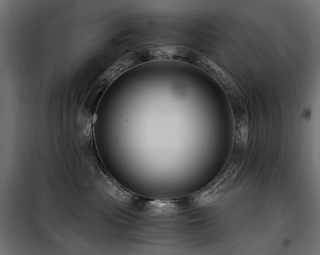 X0000100760477200806191212