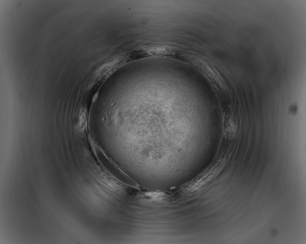 X0000100760478200806191212