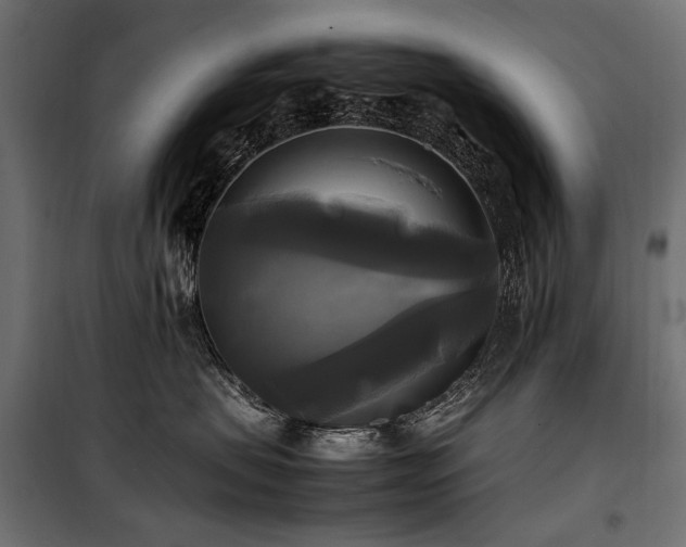 X0000100760479200806191212