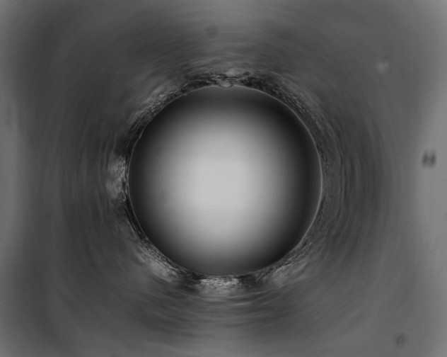 X0000100760480200806191212