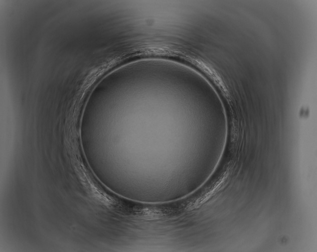 X0000100760481200806191211