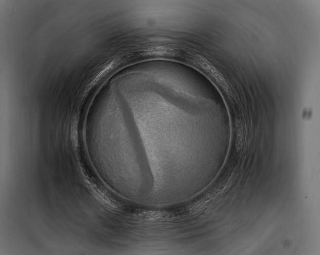 X0000100760482200806191211