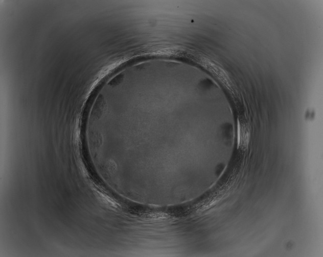 X0000100760483200806191211