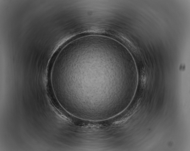 X0000100760484200806191211