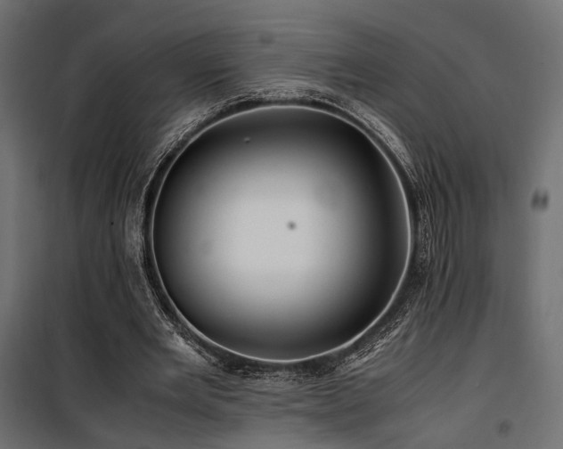 X0000100760485200806191211