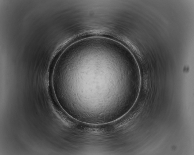 X0000100760486200806191211