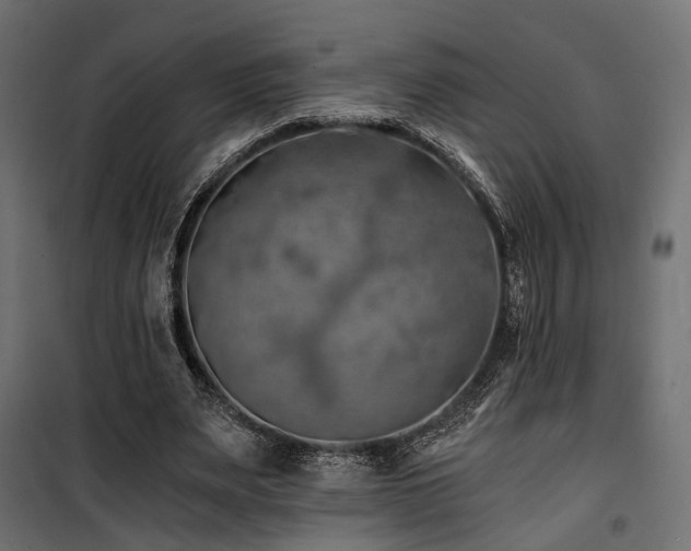 X0000100760487200806191211