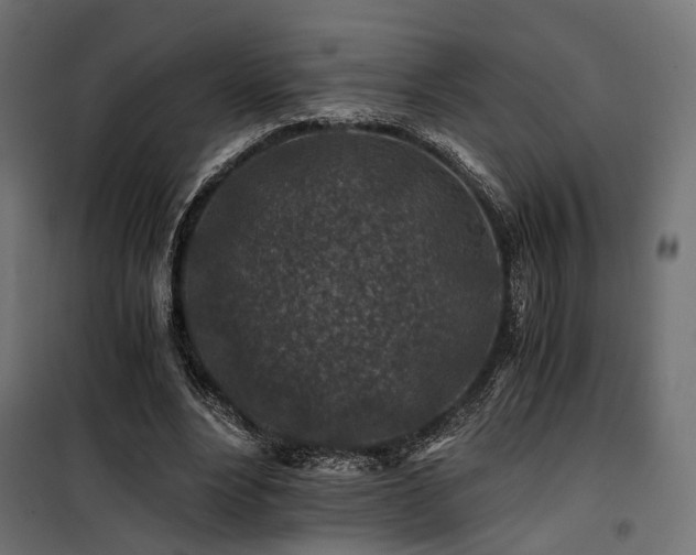 X0000100760488200806191211