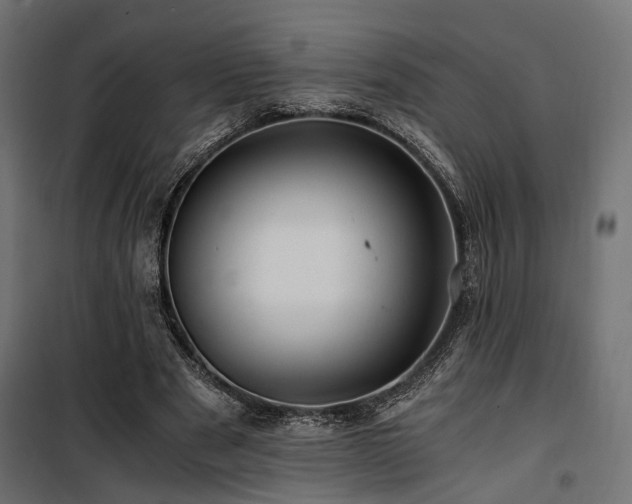 X0000100760489200806191211