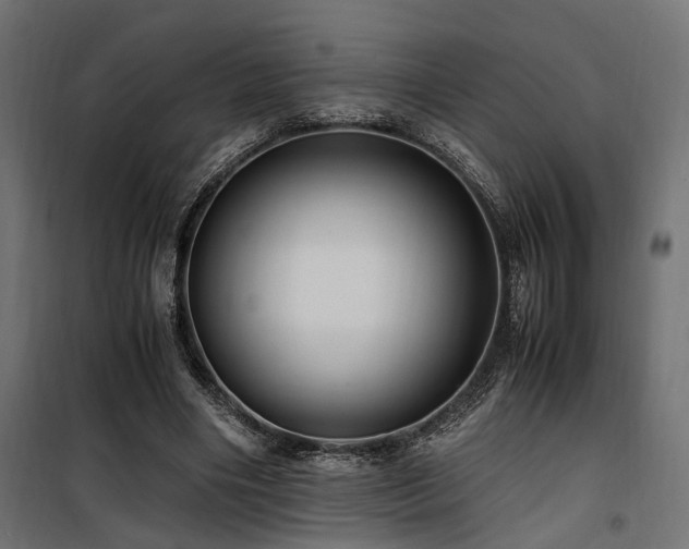 X0000100760490200806191211