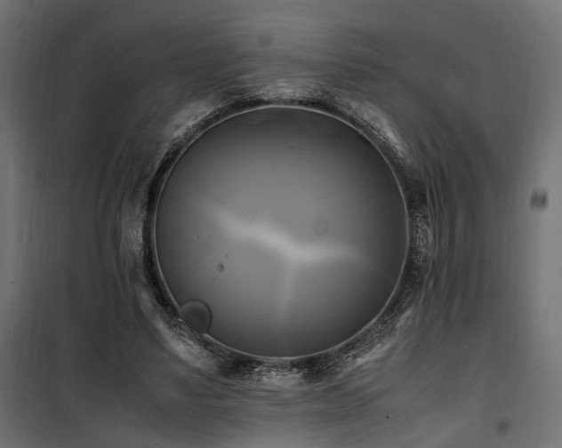 X0000100760491200806191211