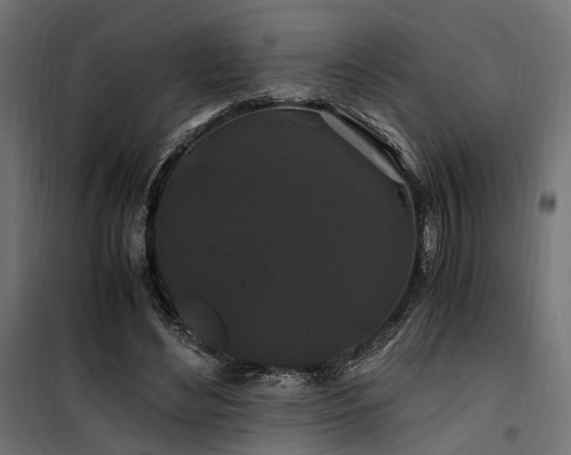 X0000100760492200806191211