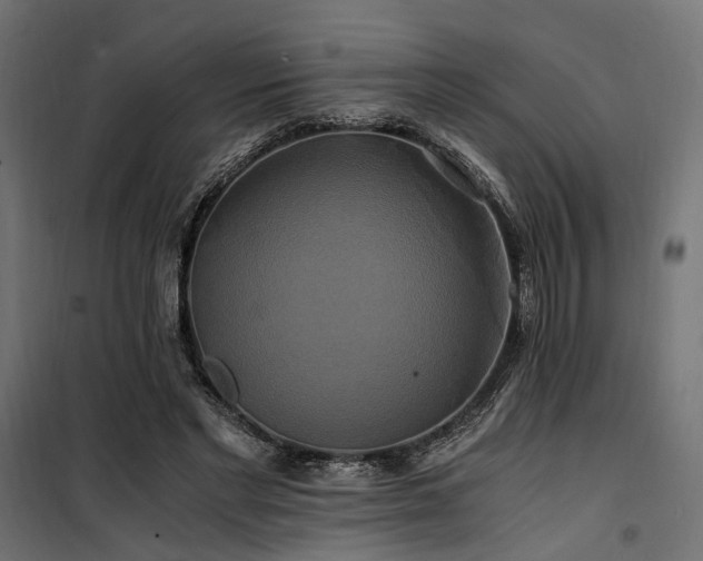 X0000100760493200806191211