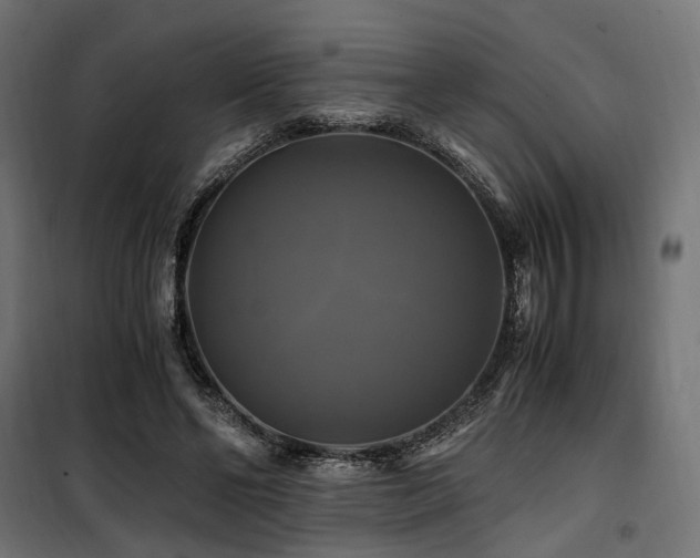 X0000100760494200806191211