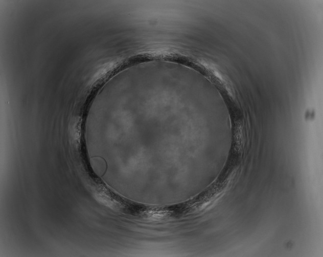 X0000100760495200806191211