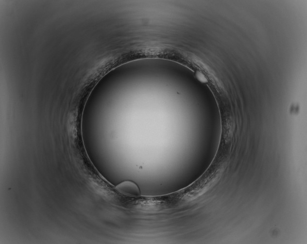 X0000100760497200806191211