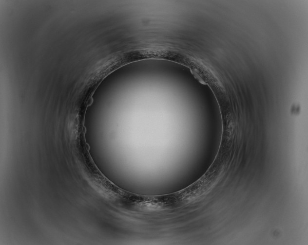 X0000100760498200806191211