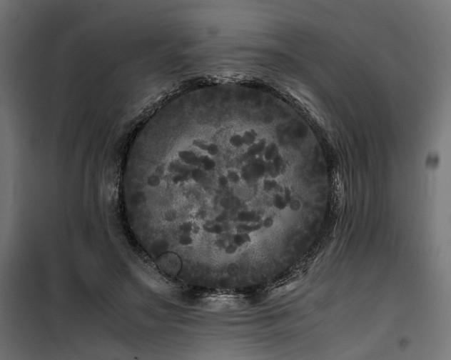 X0000100760499200806191211