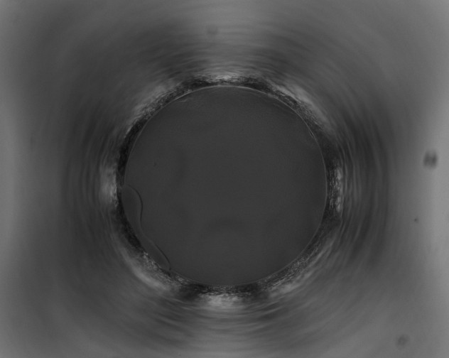 X0000100760500200806191211