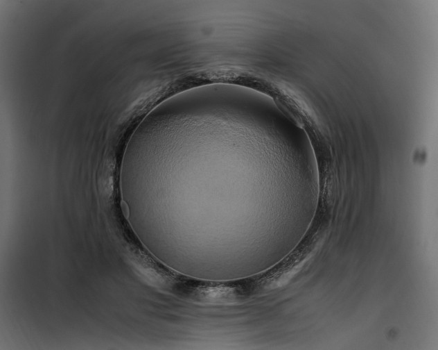 X0000100760501200806191211