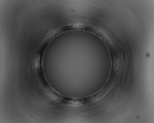 X0000100760502200806191211