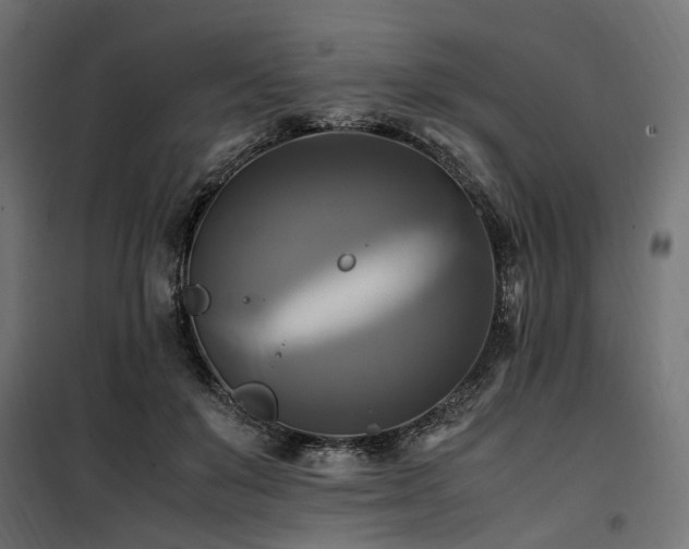 X0000100760503200806191211