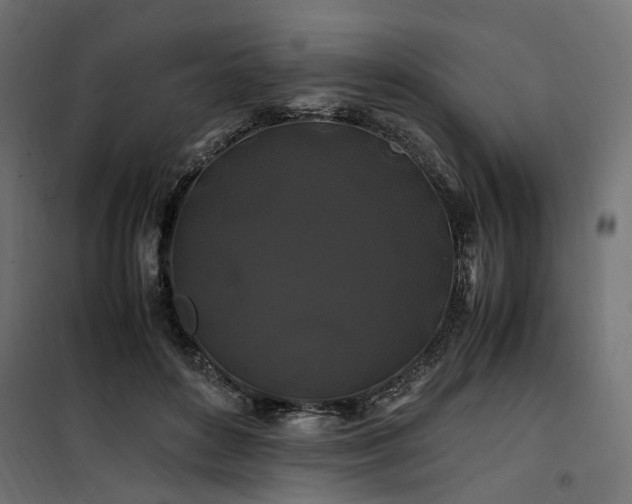 X0000100760504200806191211