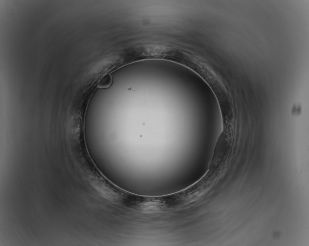 X0000100760505200806191211