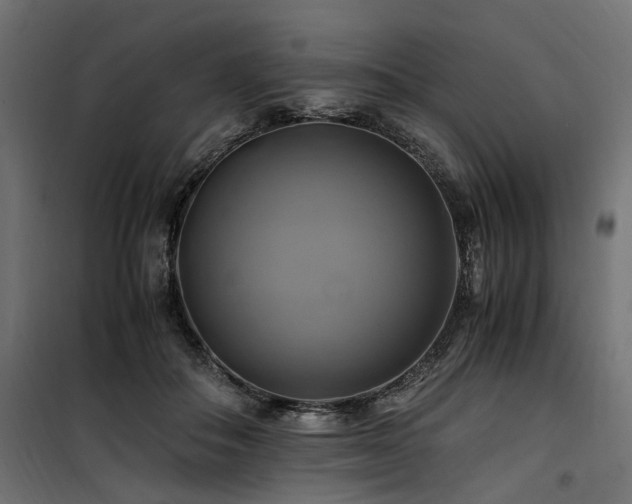 X0000100760506200806191211