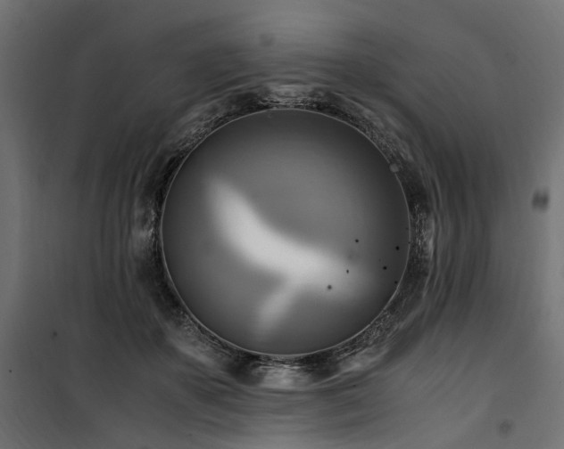 X0000100760507200806191211