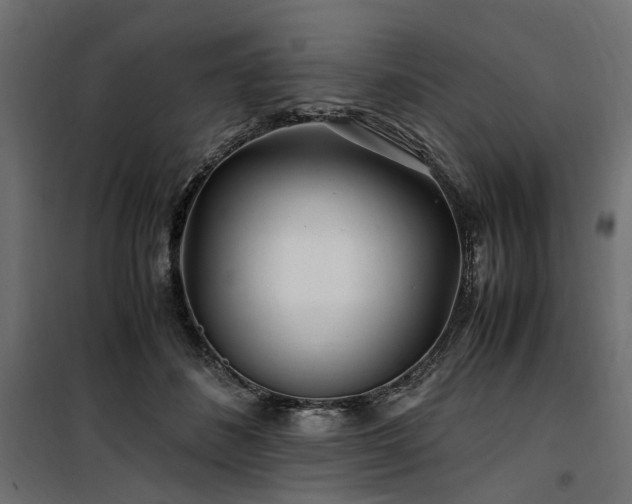 X0000100760508200806191211