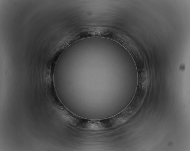 X0000100760510200806191210