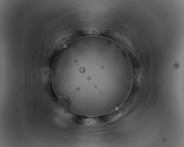 X0000100760511200806191210