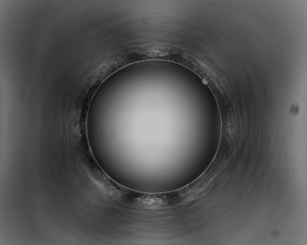 X0000100760512200806191210