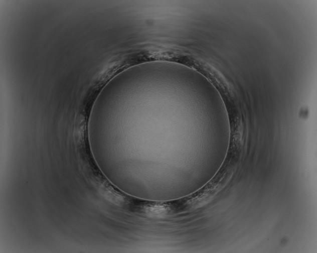 X0000100760513200806191210