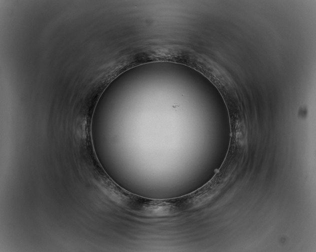 X0000100760514200806191210