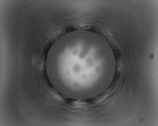 X0000100760515200806191210