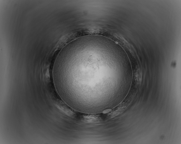 X0000100760516200806191210