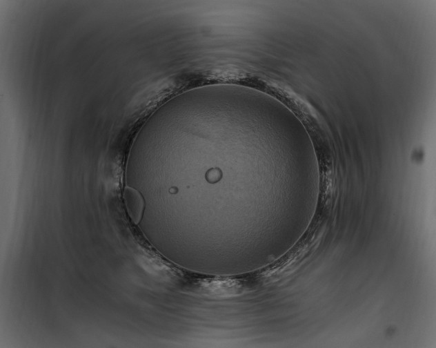 X0000100760517200806191210