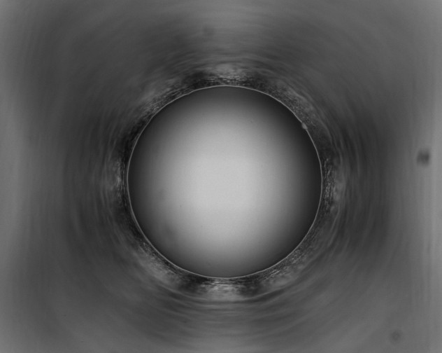 X0000100760518200806191210