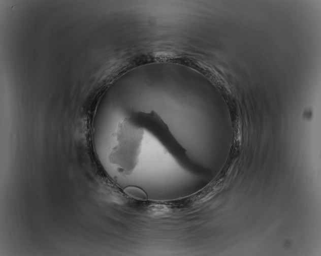 X0000100760519200806191210