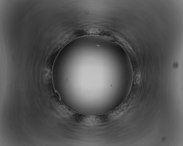 X0000100760521200806191210