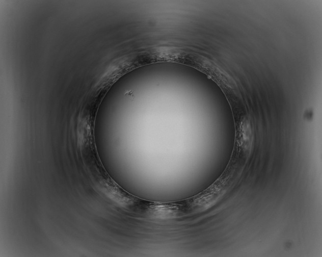 X0000100760522200806191210