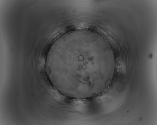 X0000100760523200806191210