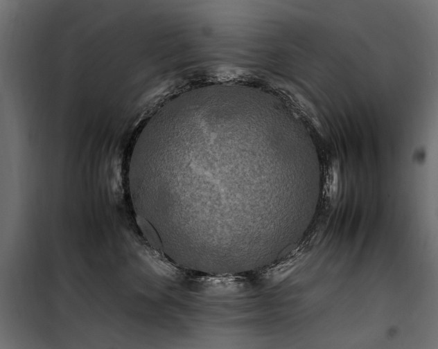 X0000100760524200806191210