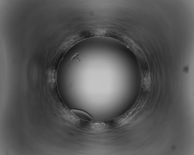 X0000100760525200806191210